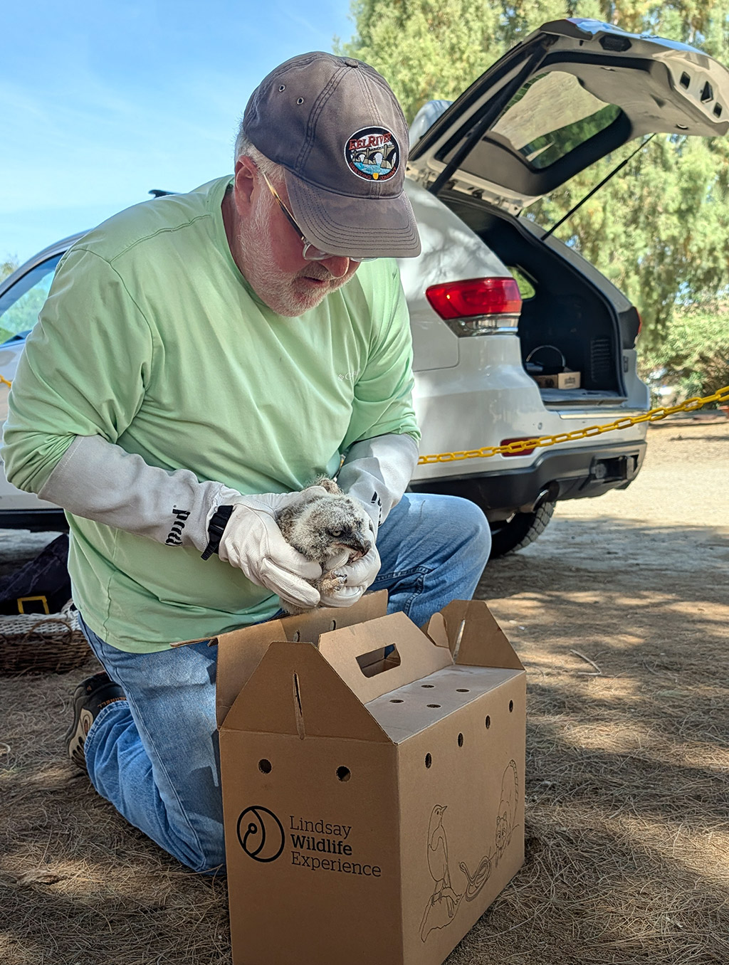 Volunteer, Kevin getting Chloe out of the box - March 26, 2026